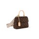 Louis Vuitton Monogram Canvas Cluny Mini Bag M46055