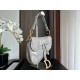 Dior Saddle Bag Grey Toile de Jouy Embroidery M0446