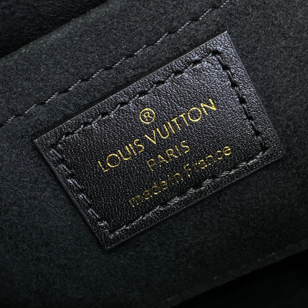 Louis Vuitton Camera Box Bag M82465