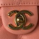 Chanel Grained Calfskin Small Vanity Case AS3729