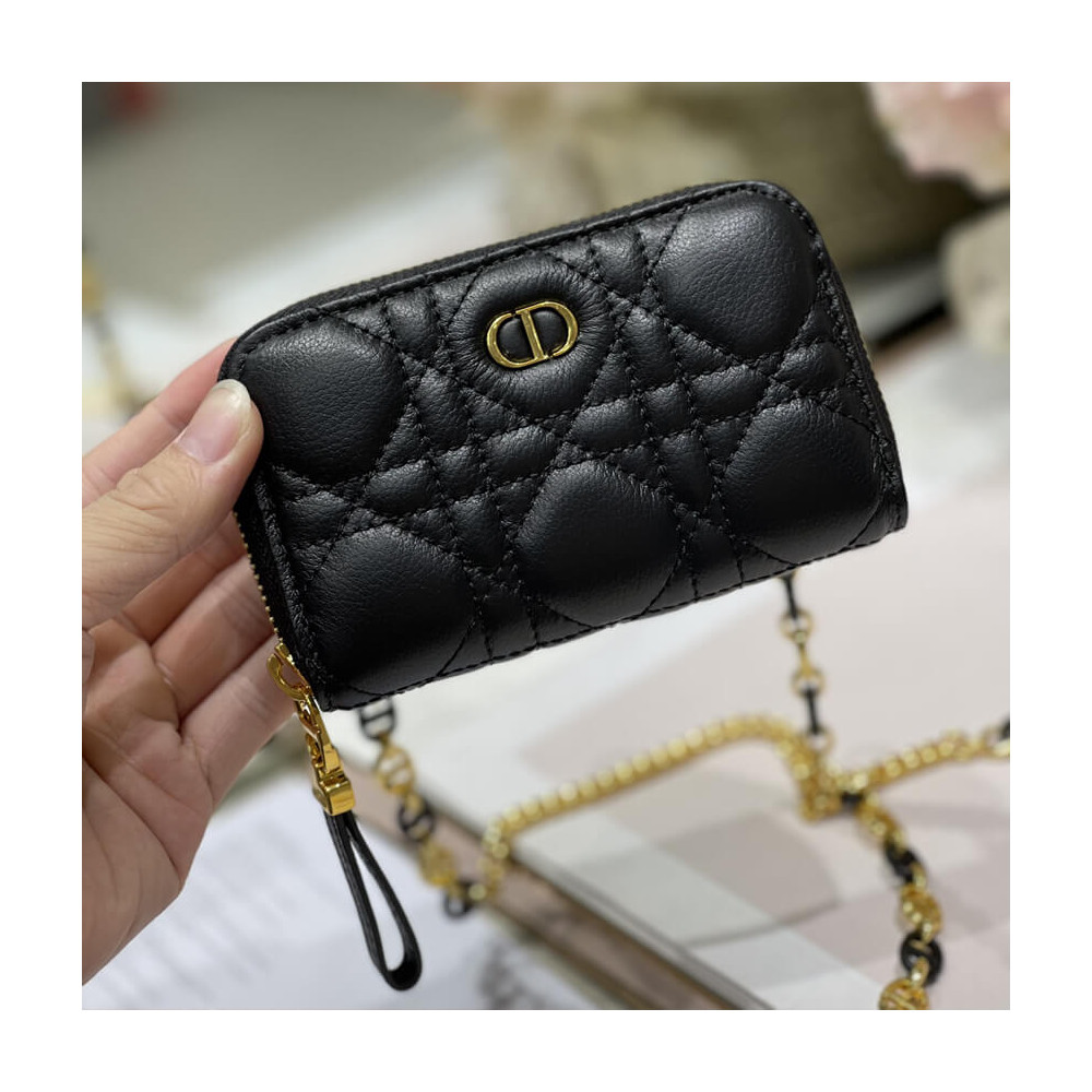 Christian Dior Mini Caro Zipped Pouch S5087