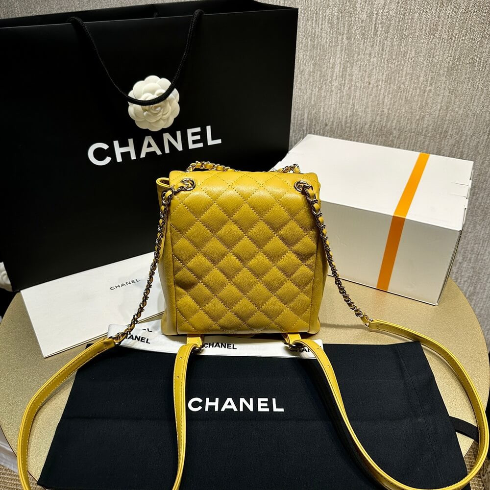 Chanel Small Duma Backpack Quilted Calfskin AS3860