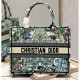 Christian Dior Book Tote White Multicolor Etoile de Voyage Embroidery