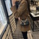 Chanel Small Flap Bag in Lambskin AS4012