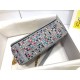 Dior Small Caro Bag Multicolor Embroidery With Crystals M9241