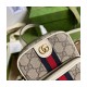 Gucci Ophidia Mini Bag 671682