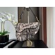 Dior Saddle Bag Beige and Black Plan de Paris Embroidery M0446