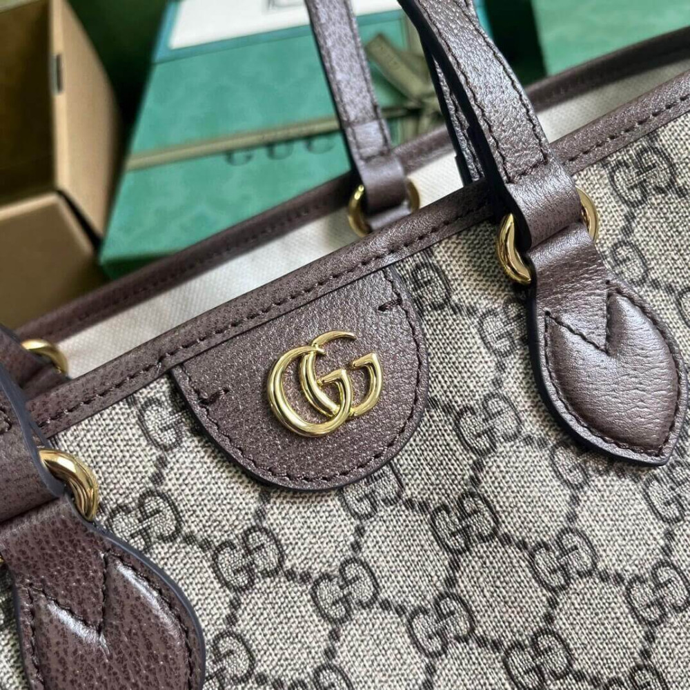 Gucci Ophidia GG Mini Tote Bag 765043