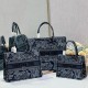 Dior Book Tote Denim Blue Toile de Jouy Embroidery