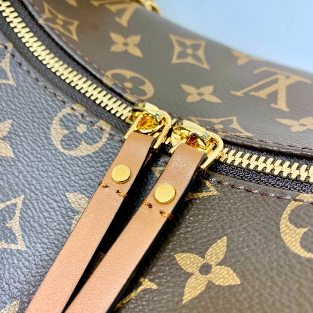 Louis Vuitton Monogram Loop Hobo Bag M46311