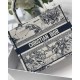 Christian Dior Small Book Tote Bag 26cm Latte Toile De Jouy Zodiac Embroidery Beige