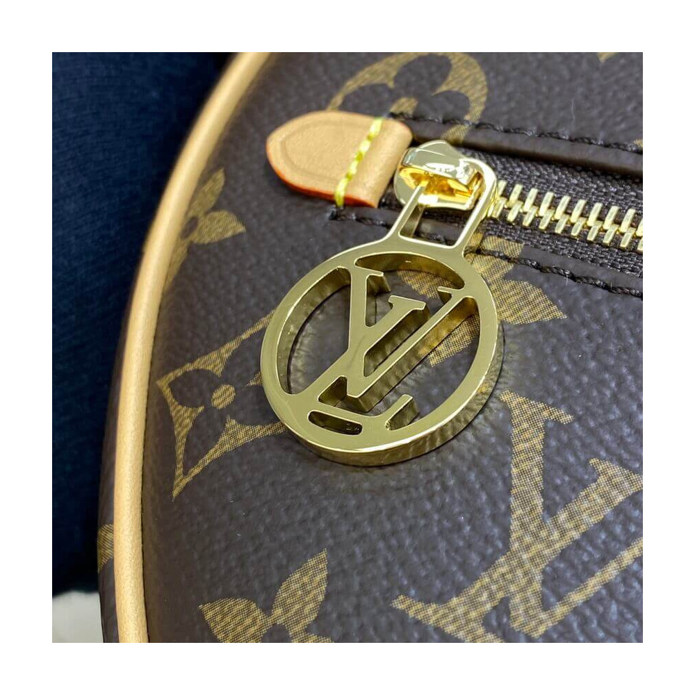 Louis Vuitton Monogram Canvas Loop Bag M81098