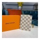 Louis Vuitton Damier Azur Passport Cover N60032