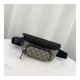 Gucci Eden Belt Bag 450946