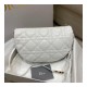 Christian Dior Medium Vibe Hobo Bag M7201 White Cannage Lambskin