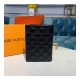 Louis Vuitton Damier Infini Passport Cover N60181