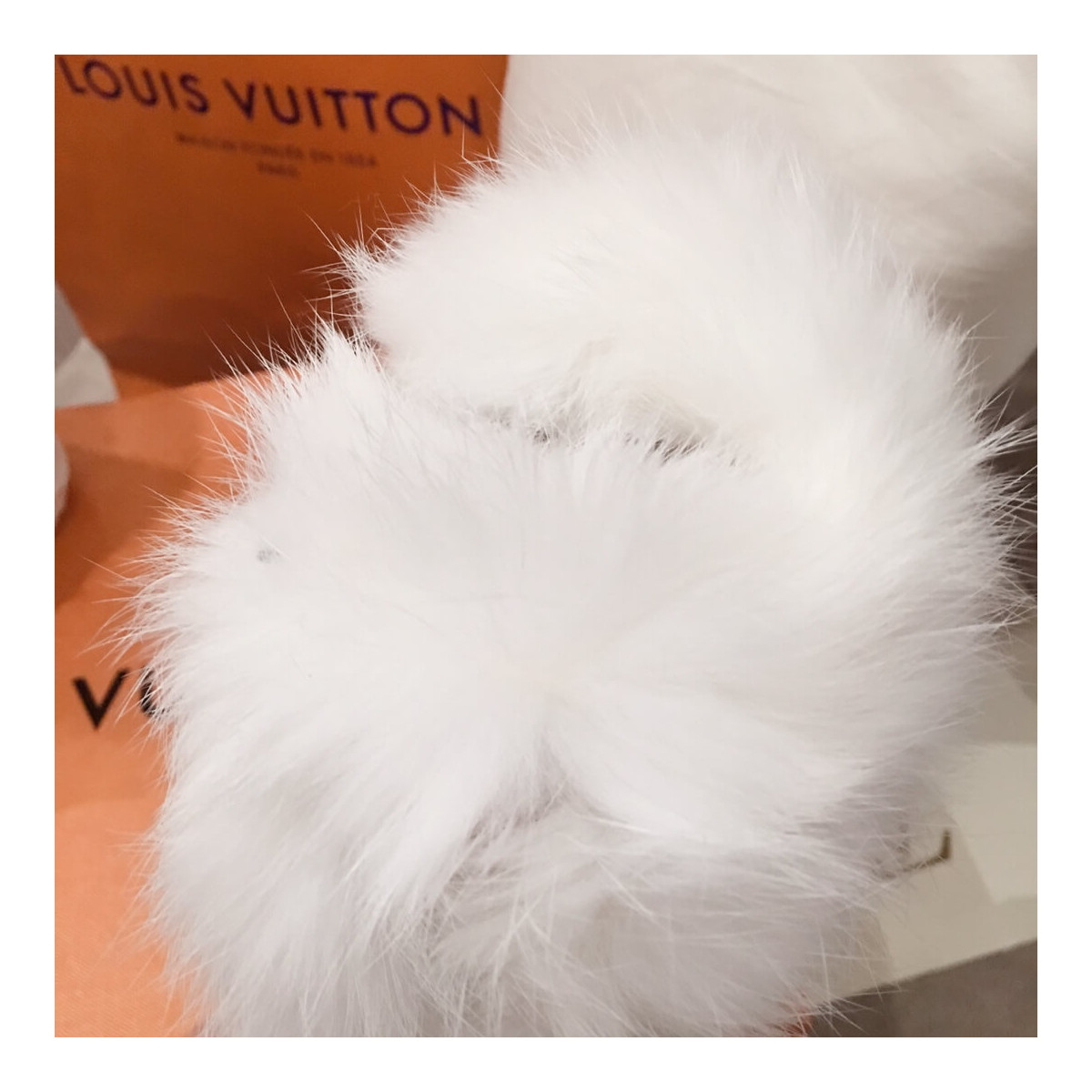 Louis Vuitton Fur Lined Sneaker 5C3137