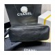 Chanel Black Calfskin Leathe Hobo Bag AS2910