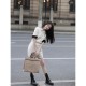 Fendi Medium Sunshine Tote Bag in Beige Canvas 8BH386