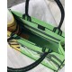 Christian Dior Medium Book Tote Bright Green and Orange D-Jungle Pop Embroidery M1296