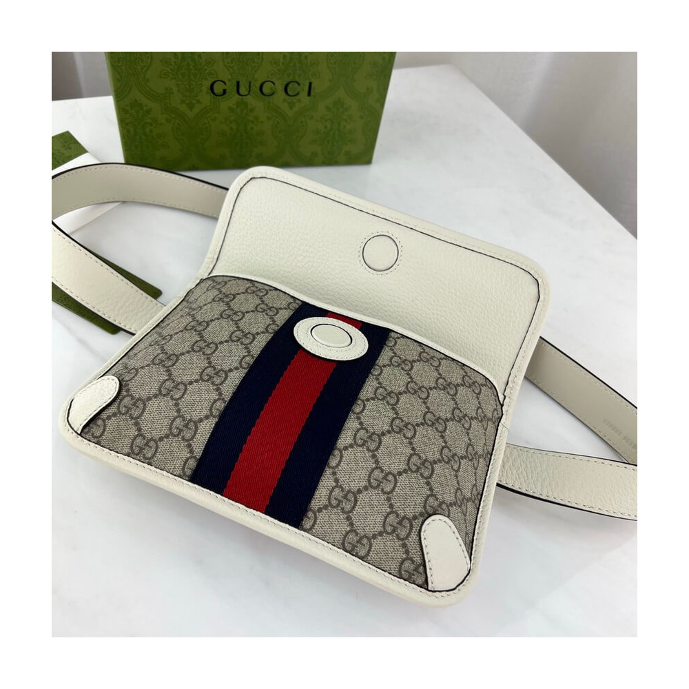 Gucci Ophidia Belt Bag 674081