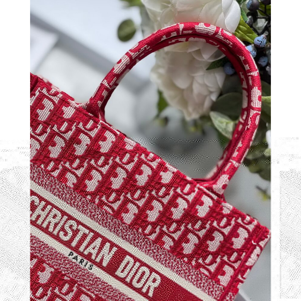 Christian Dior Small Book Tote Bag 26cm Oblique Embroidery Red