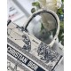 Christian Dior Small Book Tote Bag 26cm Latte Toile De Jouy Zodiac Embroidery Beige