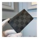 Louis Vuitton Card Holder N62666