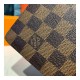 Louis Vuitton Damier Ebene Passport Cover N64412