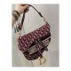 Dior Oblique Embroidered Velvet Saddle Bag M0446C