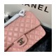 Chanel Small Classic Double Flap Bag A01113 in Lambskin