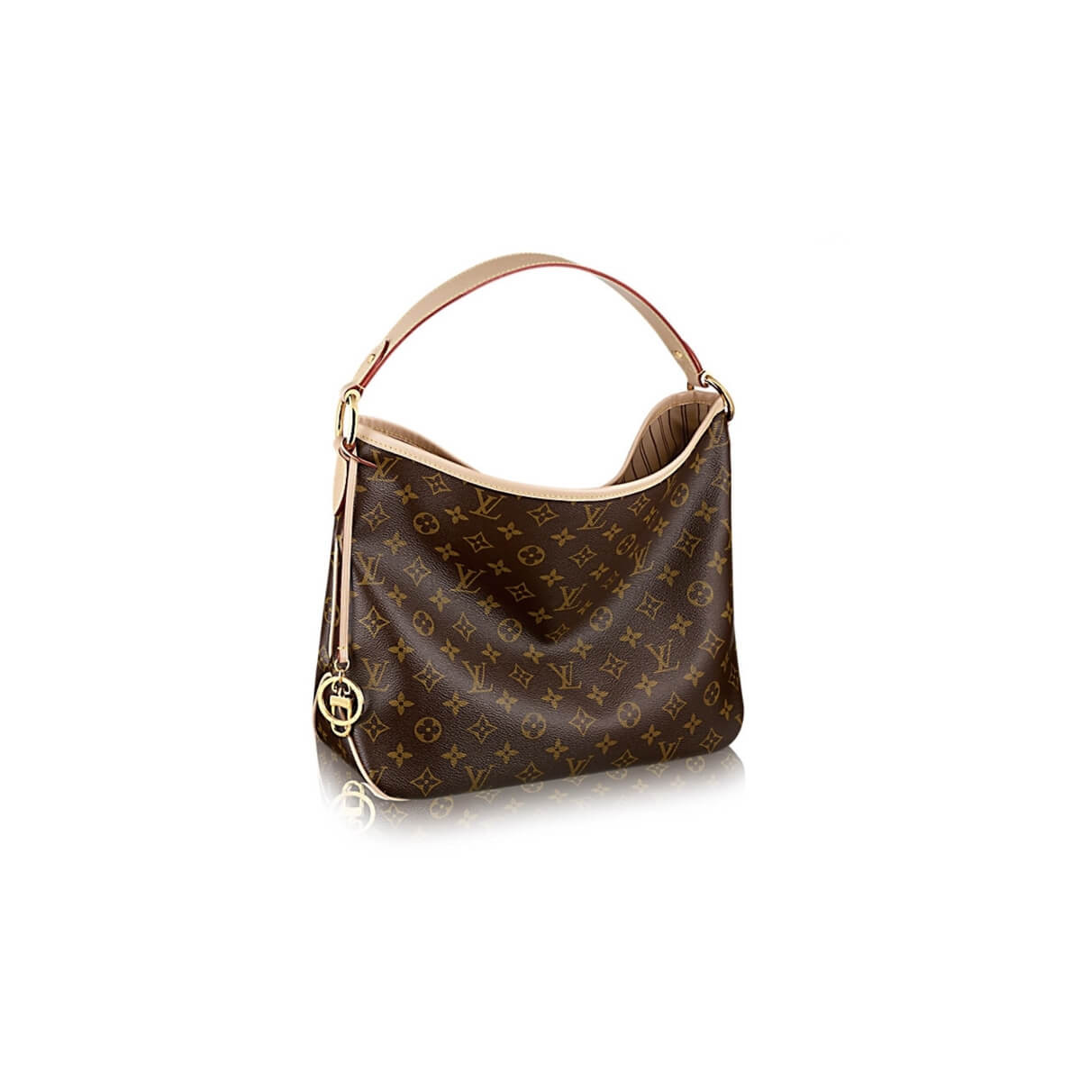 Louis Vuitton Monogram Canvas Delightful MM M50156