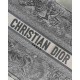 Christian Dior Small Book Tote Toile De Jouy Bag M1296