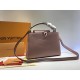 Louis Vuitton Taurillon Leather And Python Capucines BB N92039