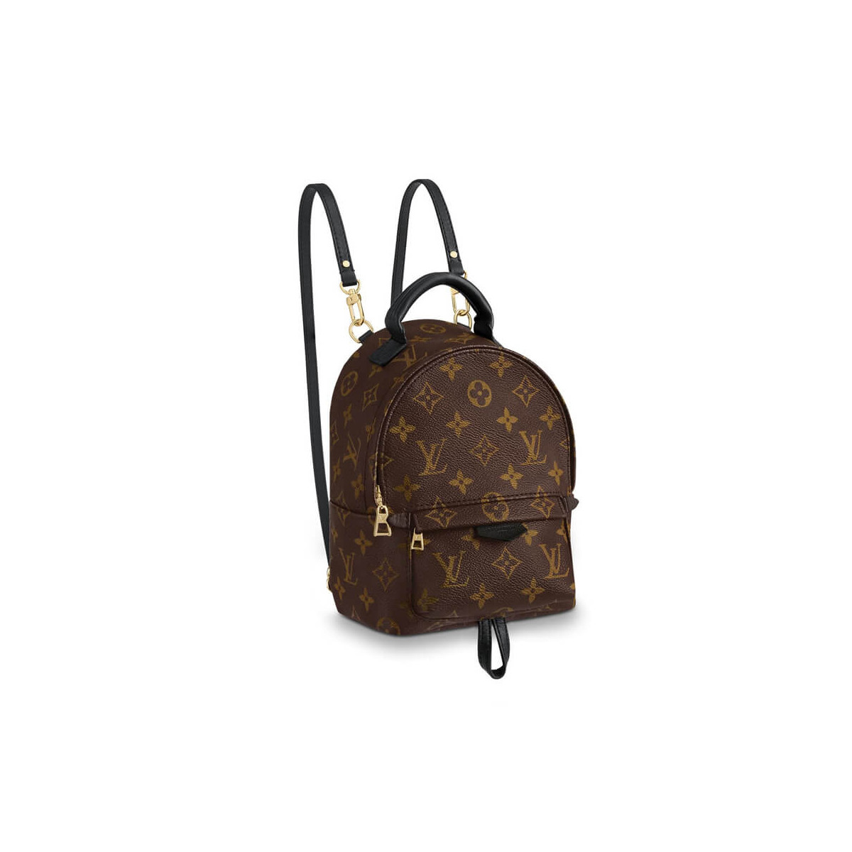 Louis Vuitton Monogram Canvas Palm Springs Backpack Mini M41562