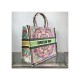 Dior Book Tote Multicolor In Lights Embroidery M1286