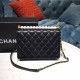 Chanel Pearl Chain Flap Bag  AS0585