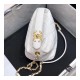 Chanel Small Lambskin Hobo Bag AS1745