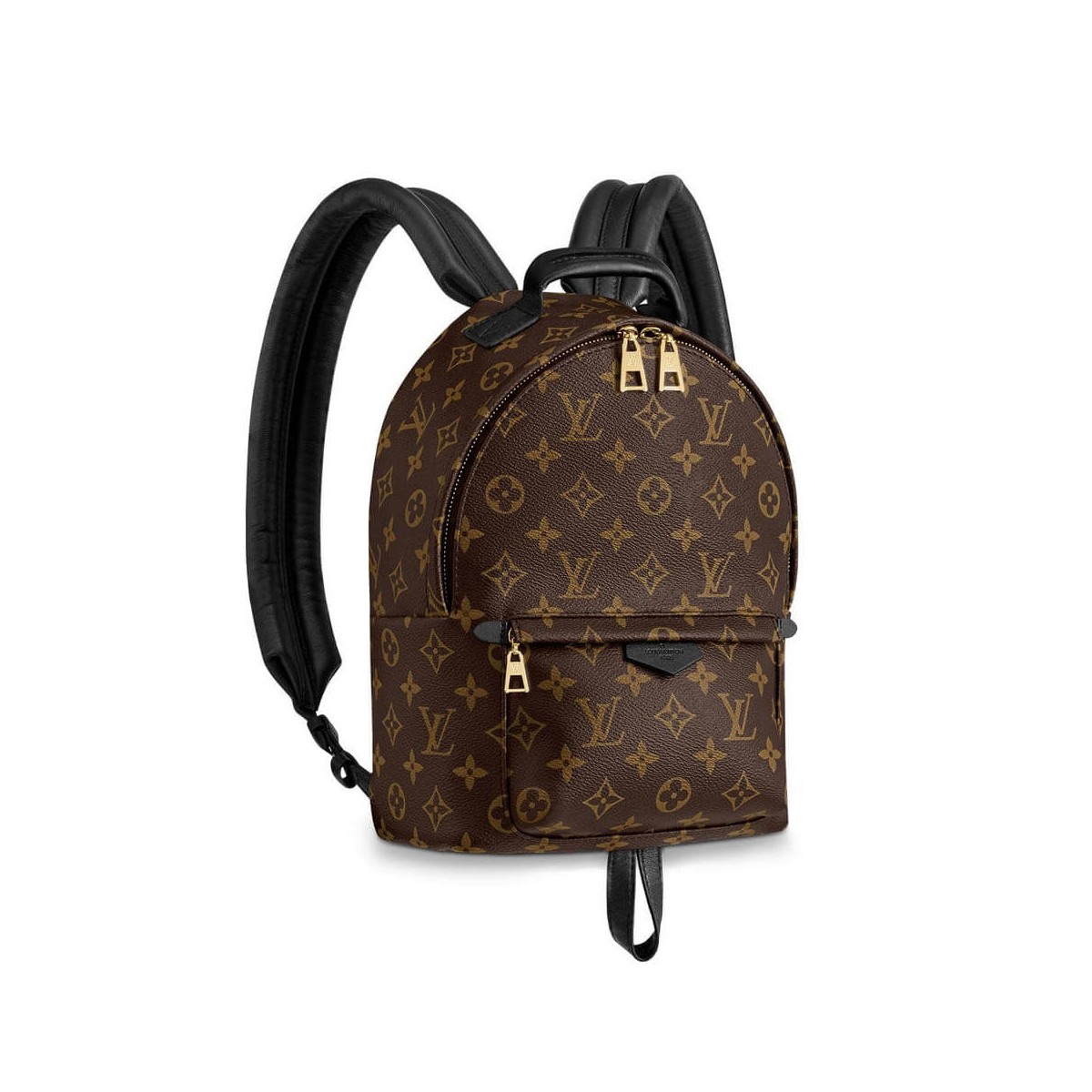 Louis Vuitton Monogram Canvas Palm Springs Backpack PM M41560