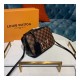 Louis Vuitton Damier Ebene Canvas Santa Monica N40178