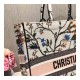 Christian Dior Book Tote Multicolor Rosa Mutabilis Embroidery M1286