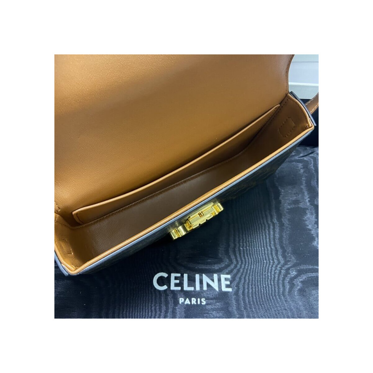 Celine Triomphe Shoulder Bag In Triomphe Canvas and Calfskin 194142