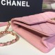 Chanel Pearl Chain Flap Bag  AS0585