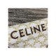 Celine Triangle Bag In Triomphe Canvas With Celine Print 195902