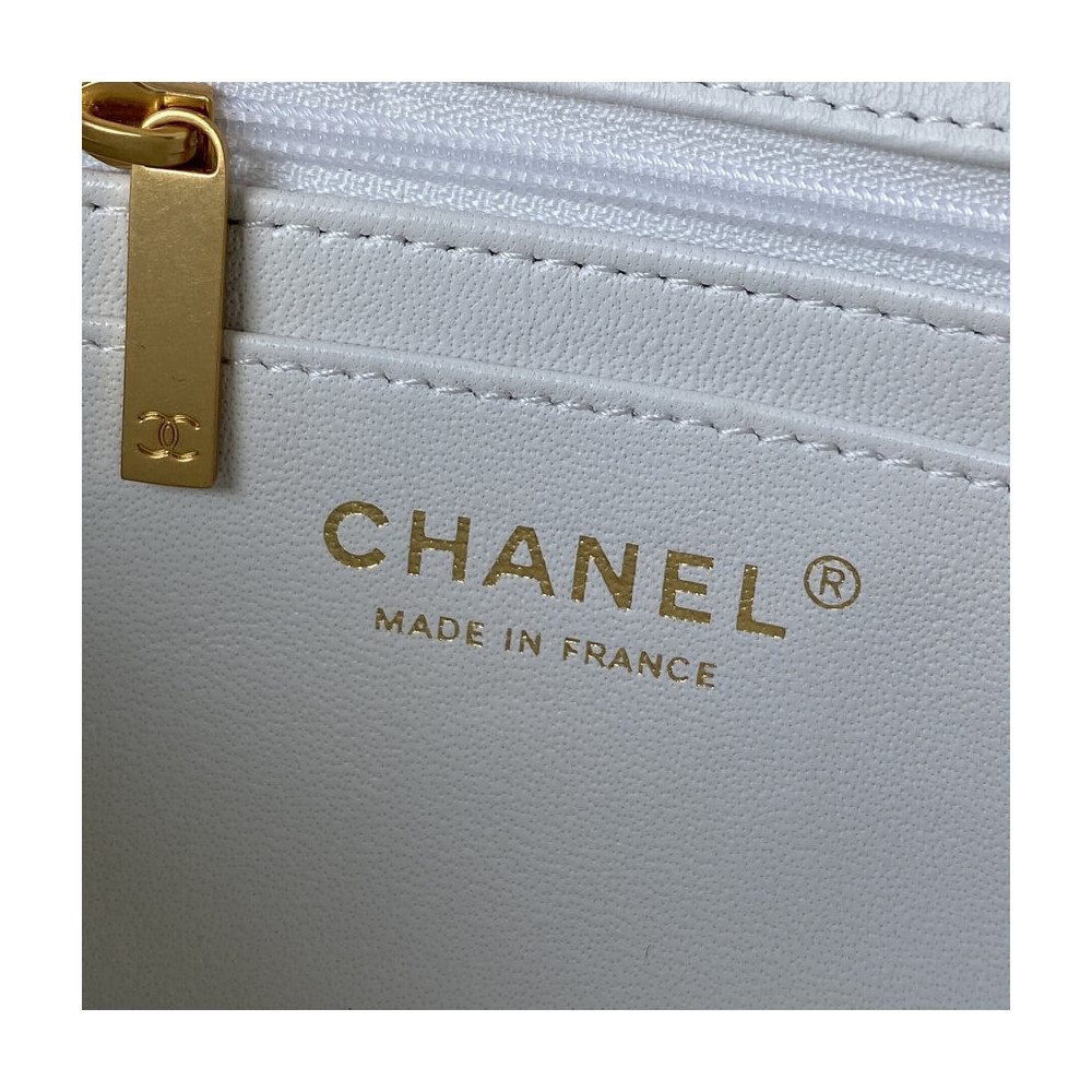 Chanel Mini Flap Bag With Top Handle AS2431 in Iridescent Lambskin