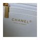 Chanel Mini Flap Bag With Top Handle AS2431 in Iridescent Lambskin