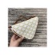 Celine Triangle Bag In Triomphe Canvas With Celine Print 195902