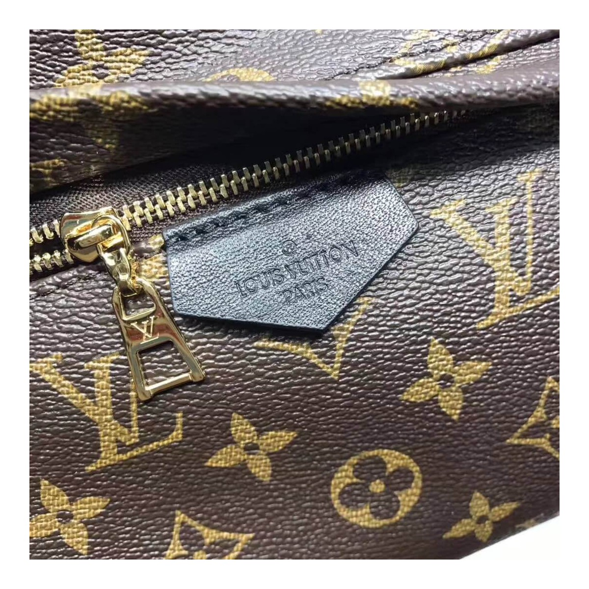 Louis Vuitton Monogram Canvas Palm Springs Backpack MM M41561