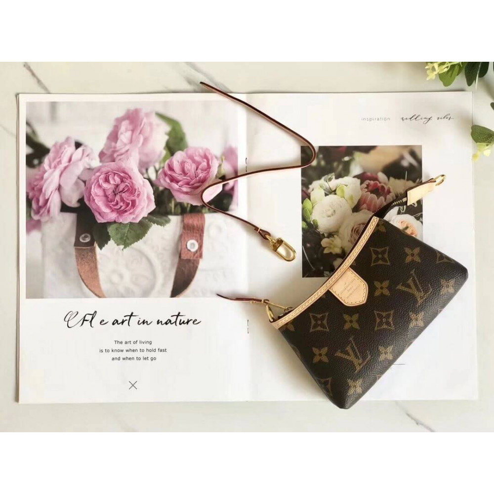 Louis Vuitton Mini Pochette Delightful M40309