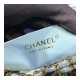 Chanel Chevron Lambskin 20cm Classic Flap Bag 1116